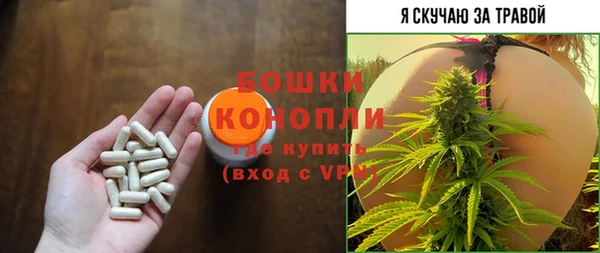 PSILOCYBIN Абаза