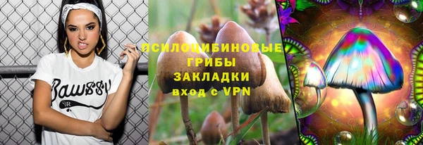 PSILOCYBIN Абаза