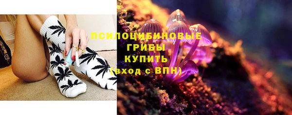 PSILOCYBIN Абаза